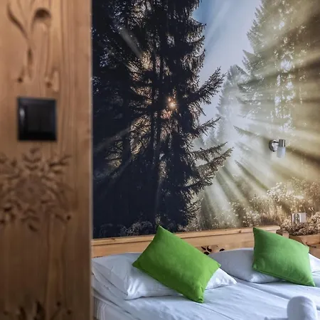 Eco Tatry Holiday& Hotel 3*