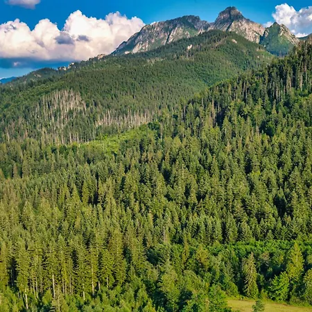 ホテル Eco Tatry Holiday& コシチェリスコ