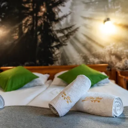 Hotel Eco Tatry Holiday& 3*