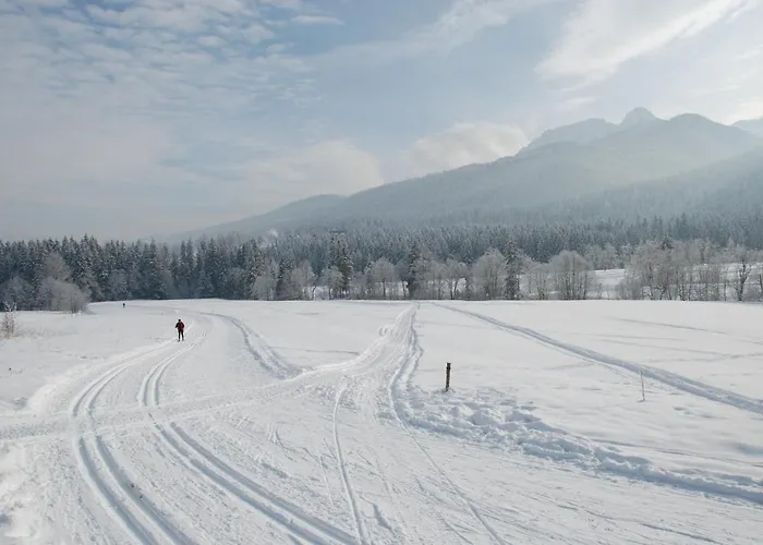 Eco Tatry Holiday& Hotel 3*